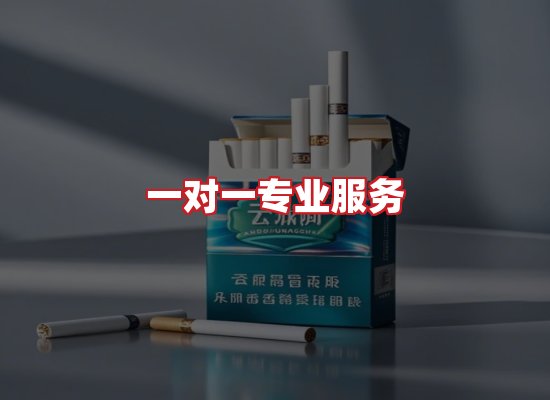 专业团队
